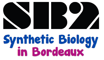Synthetic Biology in Bordeaux logo SB2