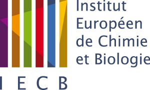 IECB logo IECB